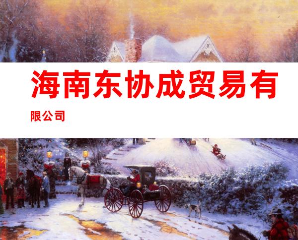 海南东协成贸易有限公司